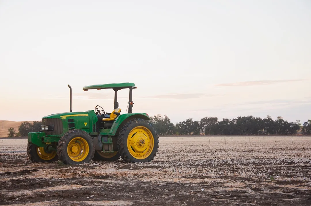 The Role of Compaction from Traffic and Machinery (Image Credits: Unsplash)