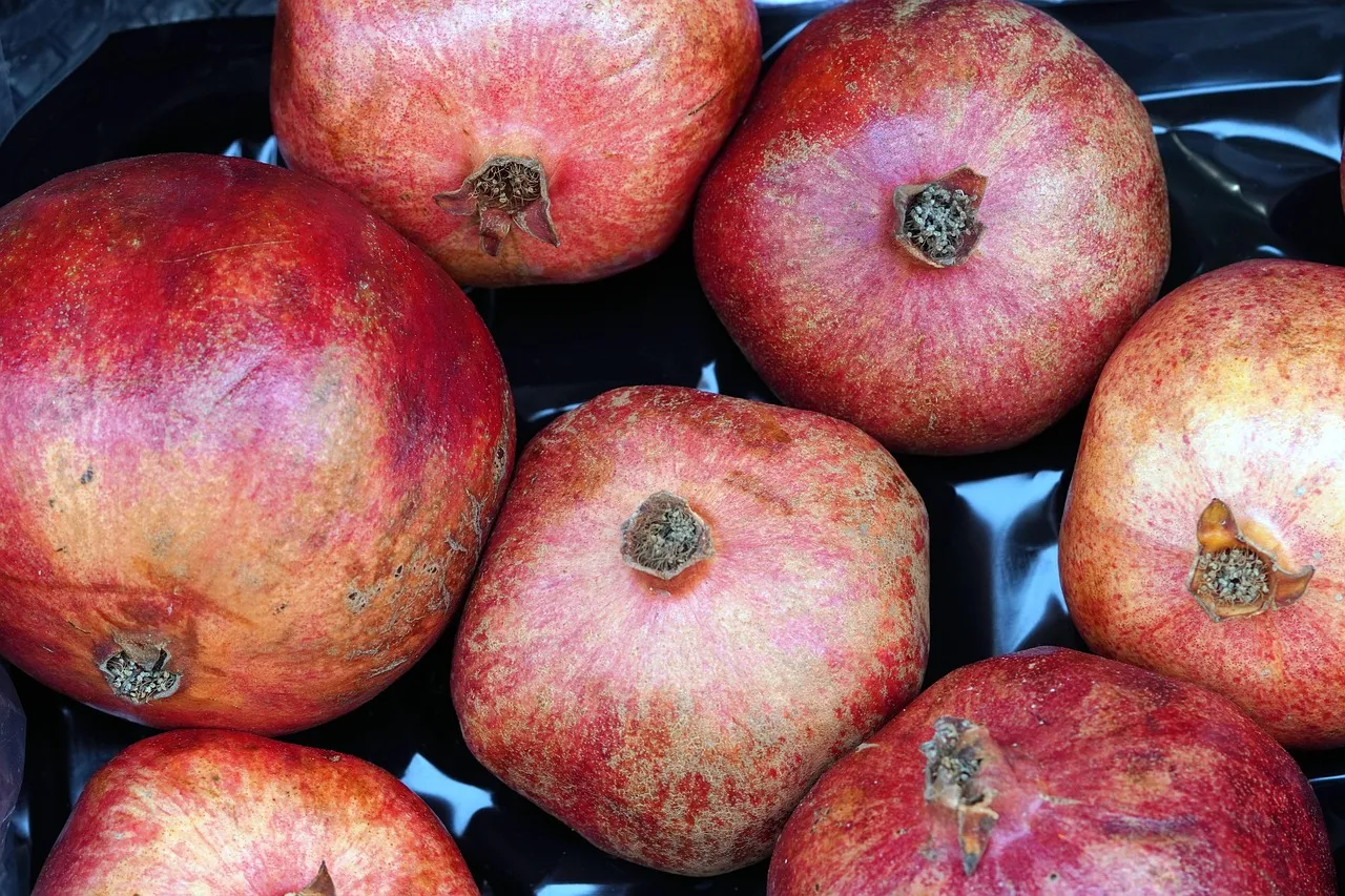 How Organic Approaches Change the Equation (Image Credits: Pixabay)
