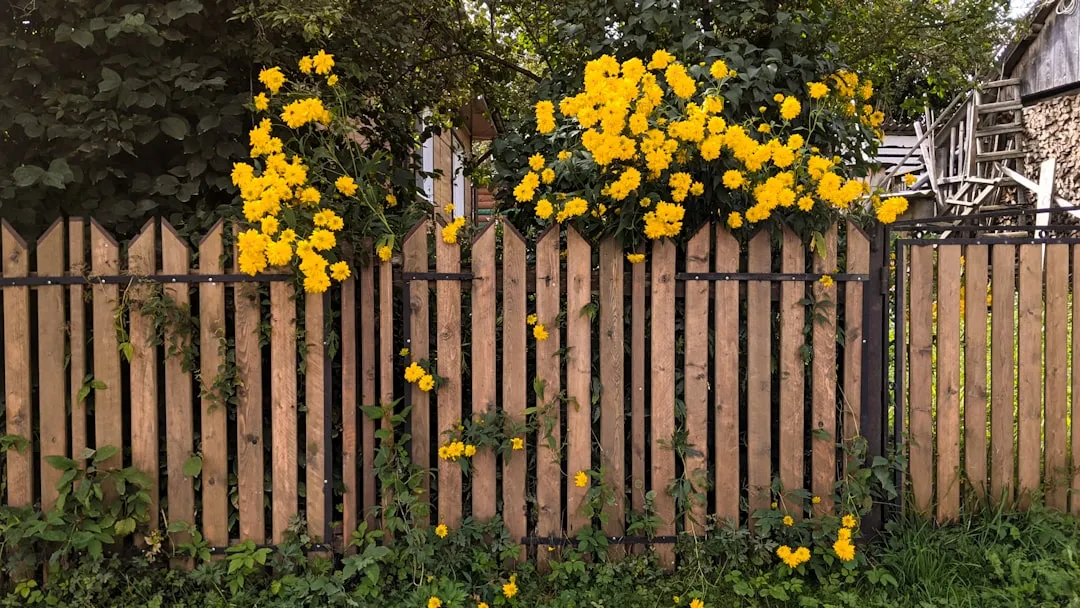 Designing the Planting Layout Along the Fence (Image Credits: Unsplash)