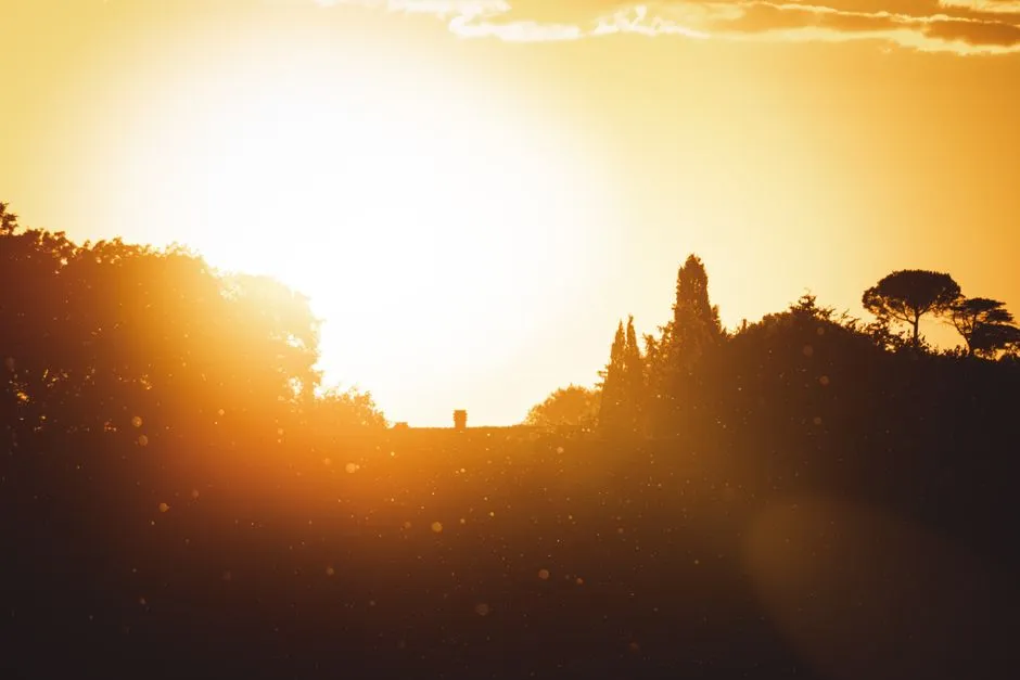 Your Brain Loses Its Wake-Up Signal (Image Credits: Pexels)