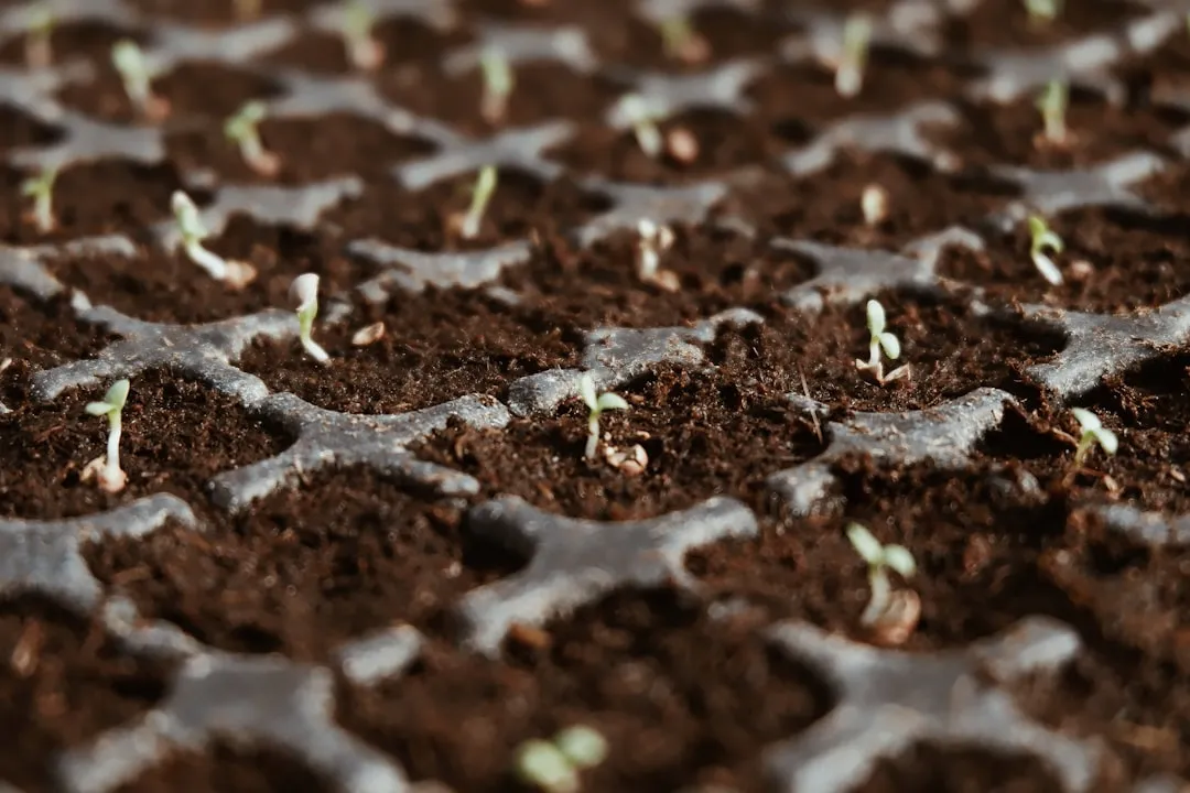 Alpine Plants: Cold Stratification Taken to the Extreme (Image Credits: Unsplash)