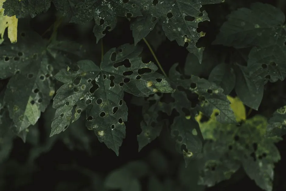 5. Diseased Plants (Image Credits: Pexels)