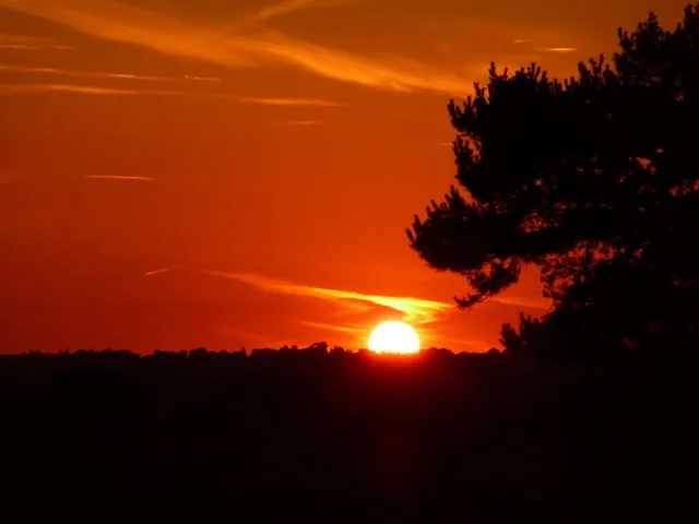 The Summer Solstice Connection (Geograph Britain and Ireland, CC BY-SA 2.0)