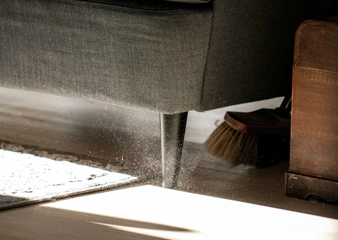 Where Most Household Dust Actually Comes From (Image Credits: Unsplash)