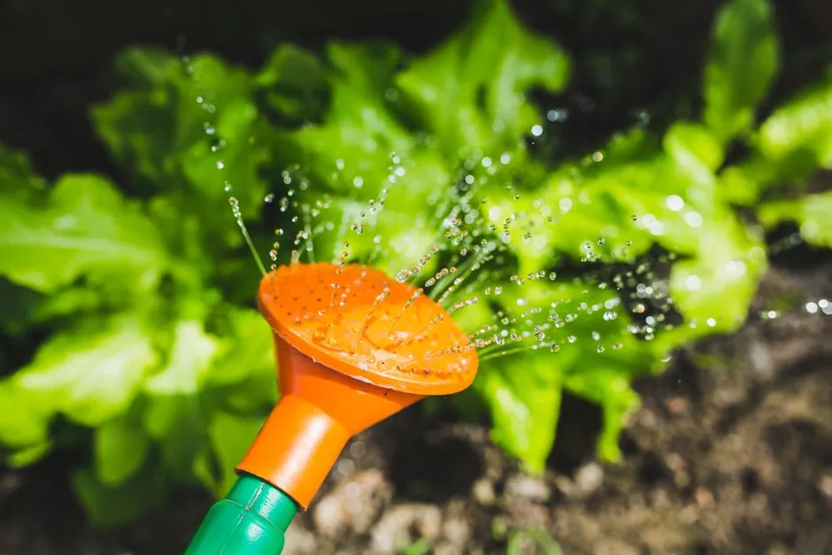 Science Backs the Practice (Image Credits: Pexels)