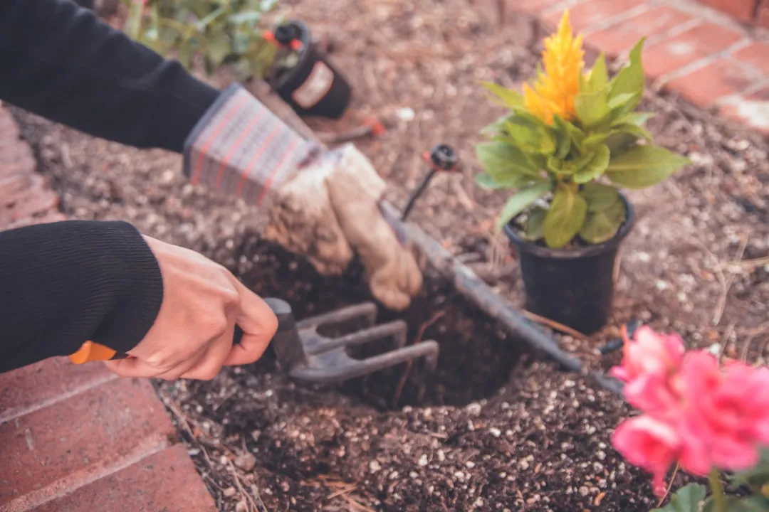 Planting Too Early in the Season (Image Credits: Unsplash)