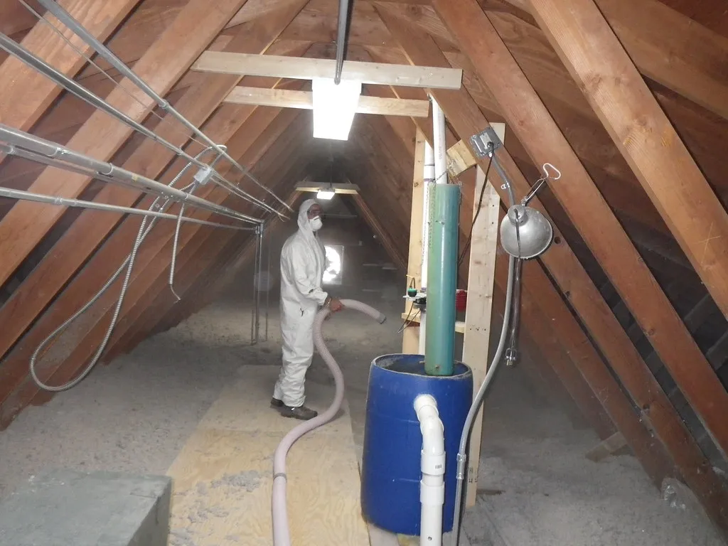 Why Wildlife Chooses Your Attic in the First Place (Image Credits: Flickr)