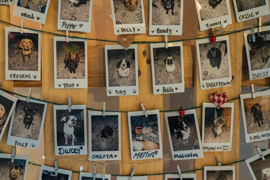 Who Runs These Operations? (Image Credits: Unsplash)