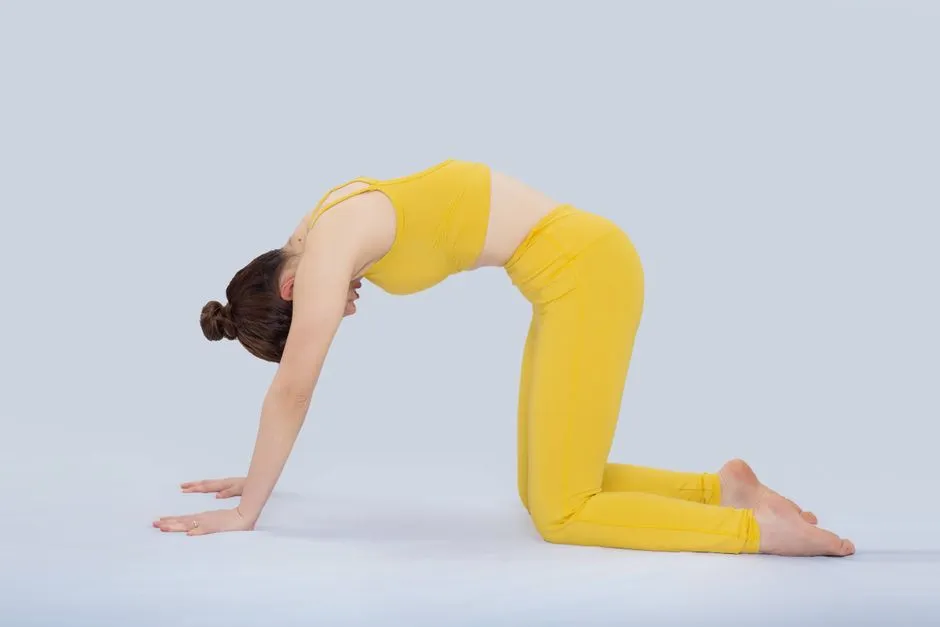 The Cat-Camel Stretch for Spinal Mobility (Image Credits: Pexels)