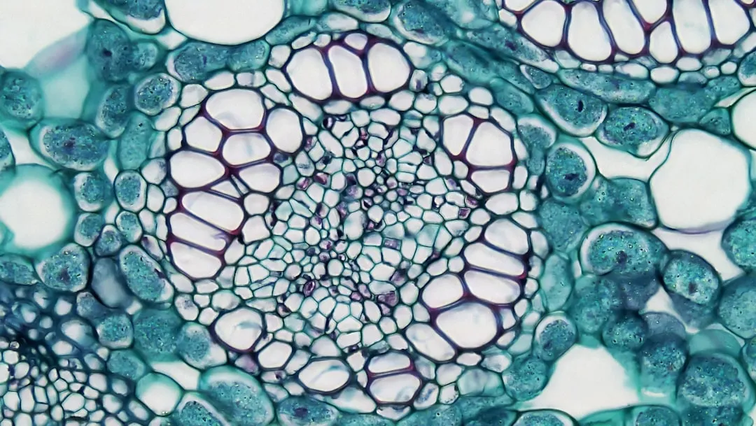 The Tree's Internal Check Valve System (Image Credits: Unsplash)