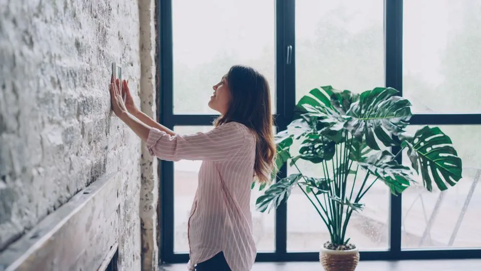 Your Brain Has a Built-In Thermostat (Image Credits: Pexels)