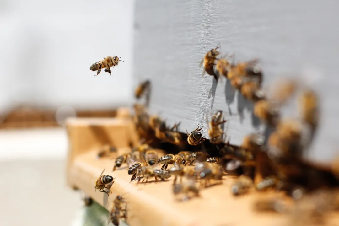 Bees Learn to Avoid Flowers That Made Them Sick (Image Credits: Unsplash)