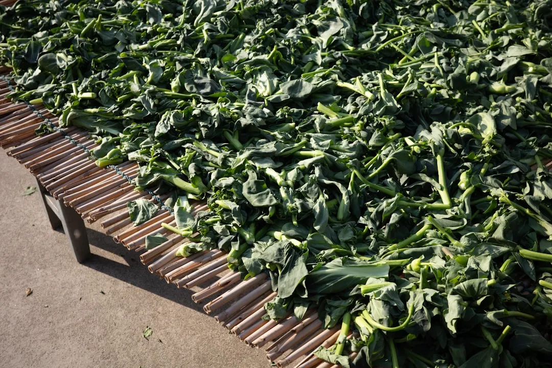 2. Kale: The Workhorse That Never Stops (Image Credits: Unsplash)