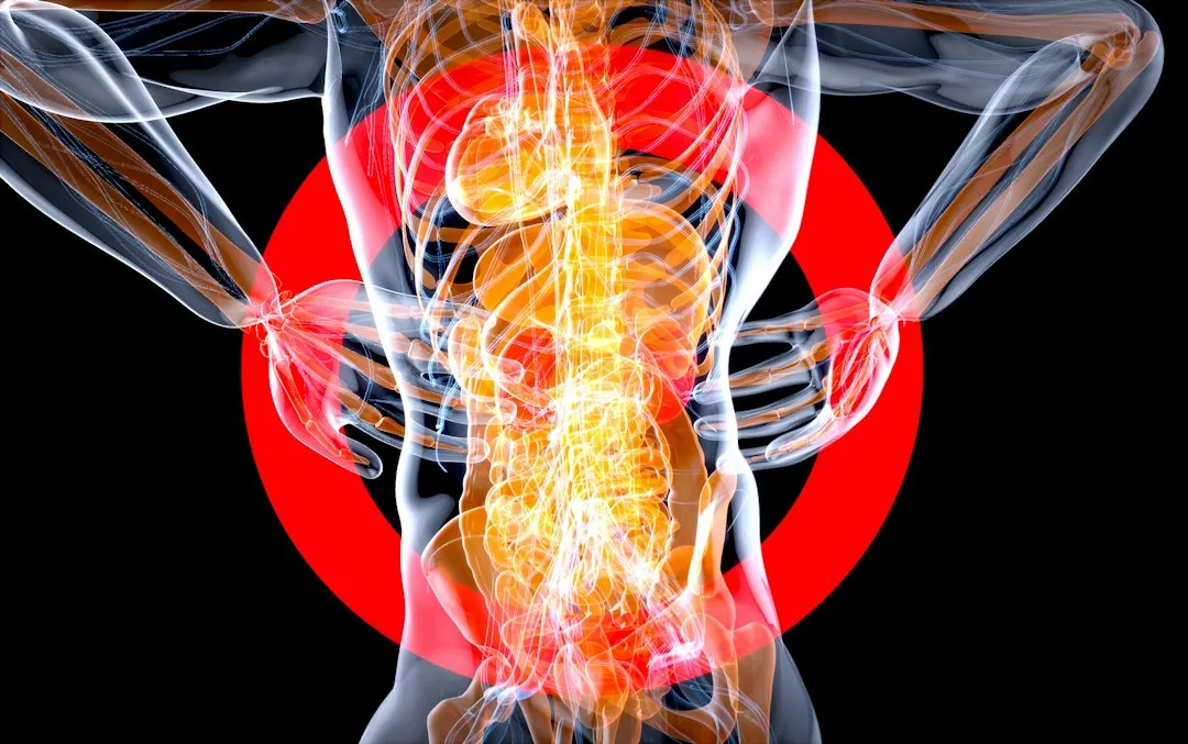 Your Spine Pays a Price You Won't Notice Immediately (Image Credits: Unsplash)
