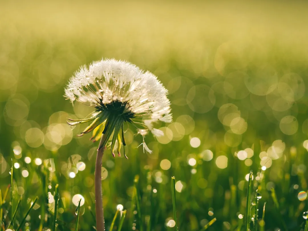 A Soil Health Indicator You Didn't Know You Had (Image Credits: Unsplash)