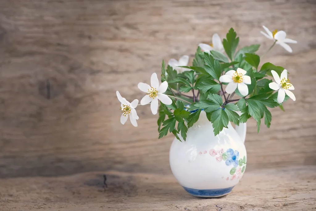 Jasmine (Potted): The Hopeful, Forward-Looking Optimist (Image Credits: Rawpixel)