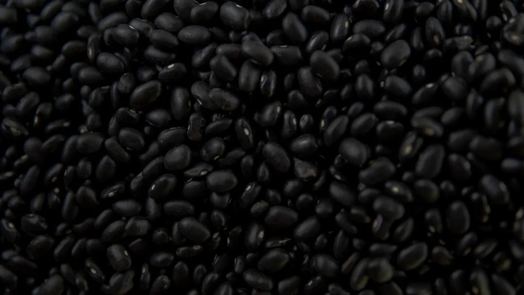 4. Black Beans: A Plant-Based Satiety Staple (Image Credits: Unsplash)