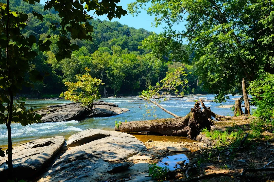 Harpers Ferry: Where the Trail Meets American History (Image Credits: Unsplash)
