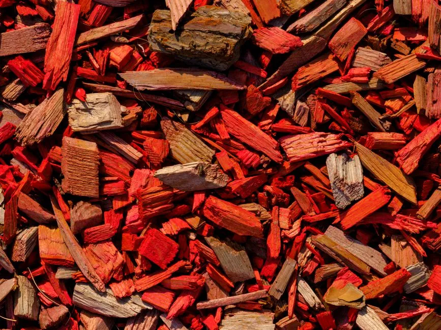 Dyed Mulch and Soil Nitrogen: A Secondary Concern (Image Credits: Pexels)