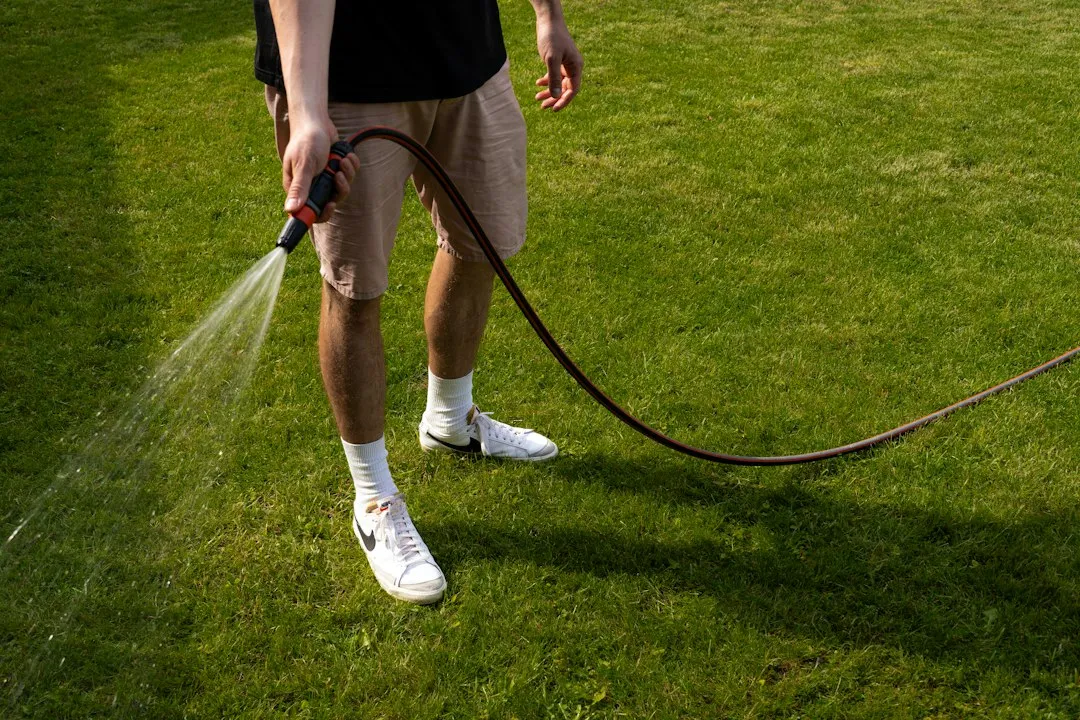The Fix That Actually Works: Water the Spot Immediately (Image Credits: Unsplash)