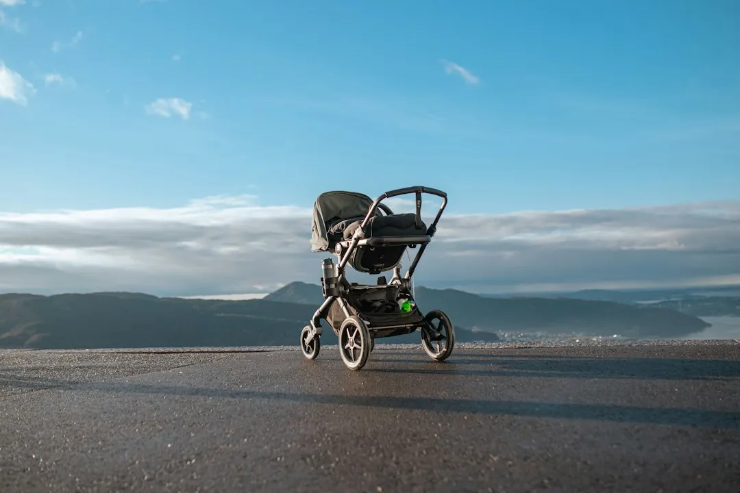 The Baby Gear Market Has Grown Into Its Own Category (Image Credits: Unsplash)