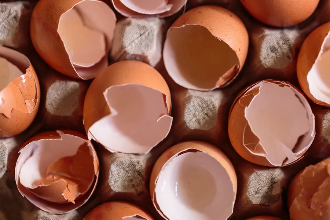 2. Dairy Products and Eggs (But Not Eggshells) (Image Credits: Unsplash)