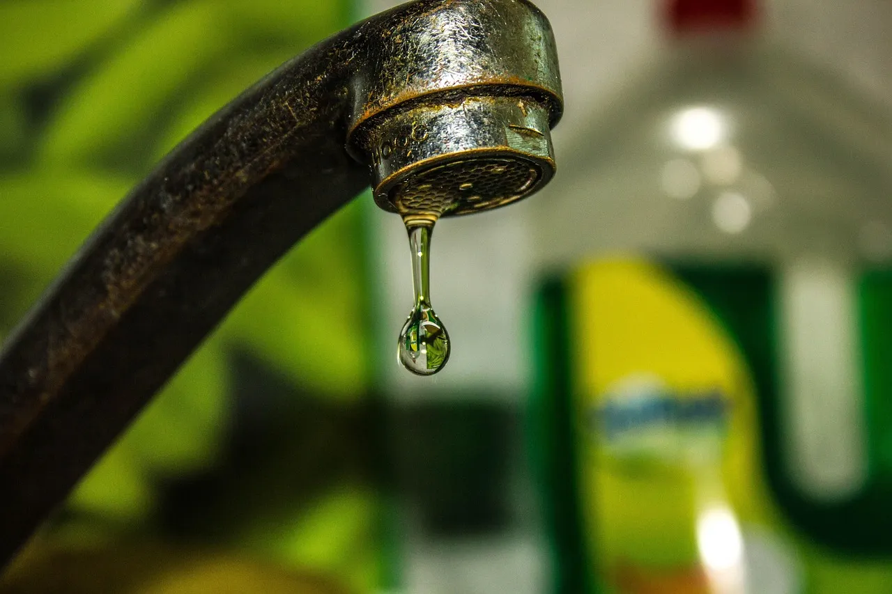 The Dripping Faucet You're Ignoring (Image Credits: Pixabay)