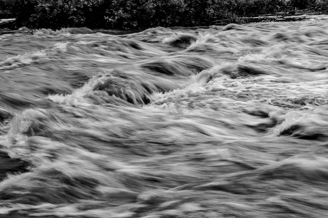 The Turbidity Problem: When Rain Stirs Up Sediment (Image Credits: Unsplash)