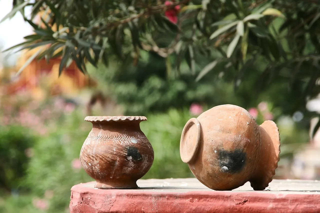 Why Terracotta Pots Are High-Risk Vessels for Disease (Image Credits: Pixabay)