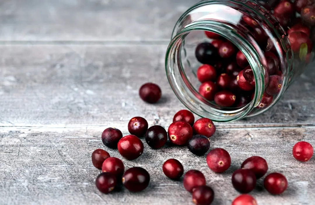 Cranberries: A Bonus Food Worth Mentioning (Image Credits: Unsplash)