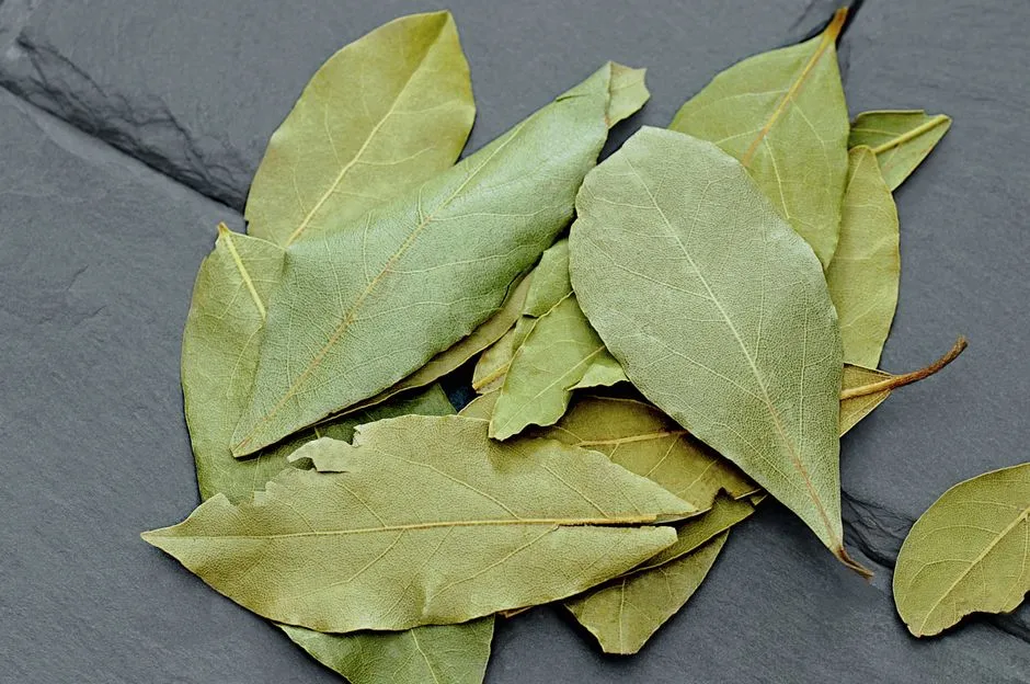 Bay Leaf: The Grocery Store Staple with a Hidden Pest-Control Secret (Image Credits: Pexels)