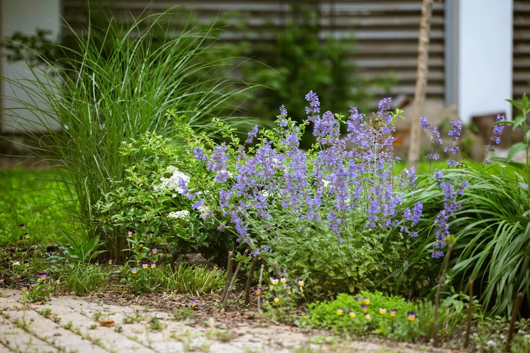 Keeping the Border Going: Year-Round Maintenance (Image Credits: Unsplash)