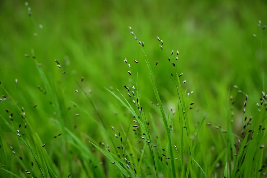 Planting Depth: Too Deep Is Just as Harmful as Too Shallow (Image Credits: Pexels)
