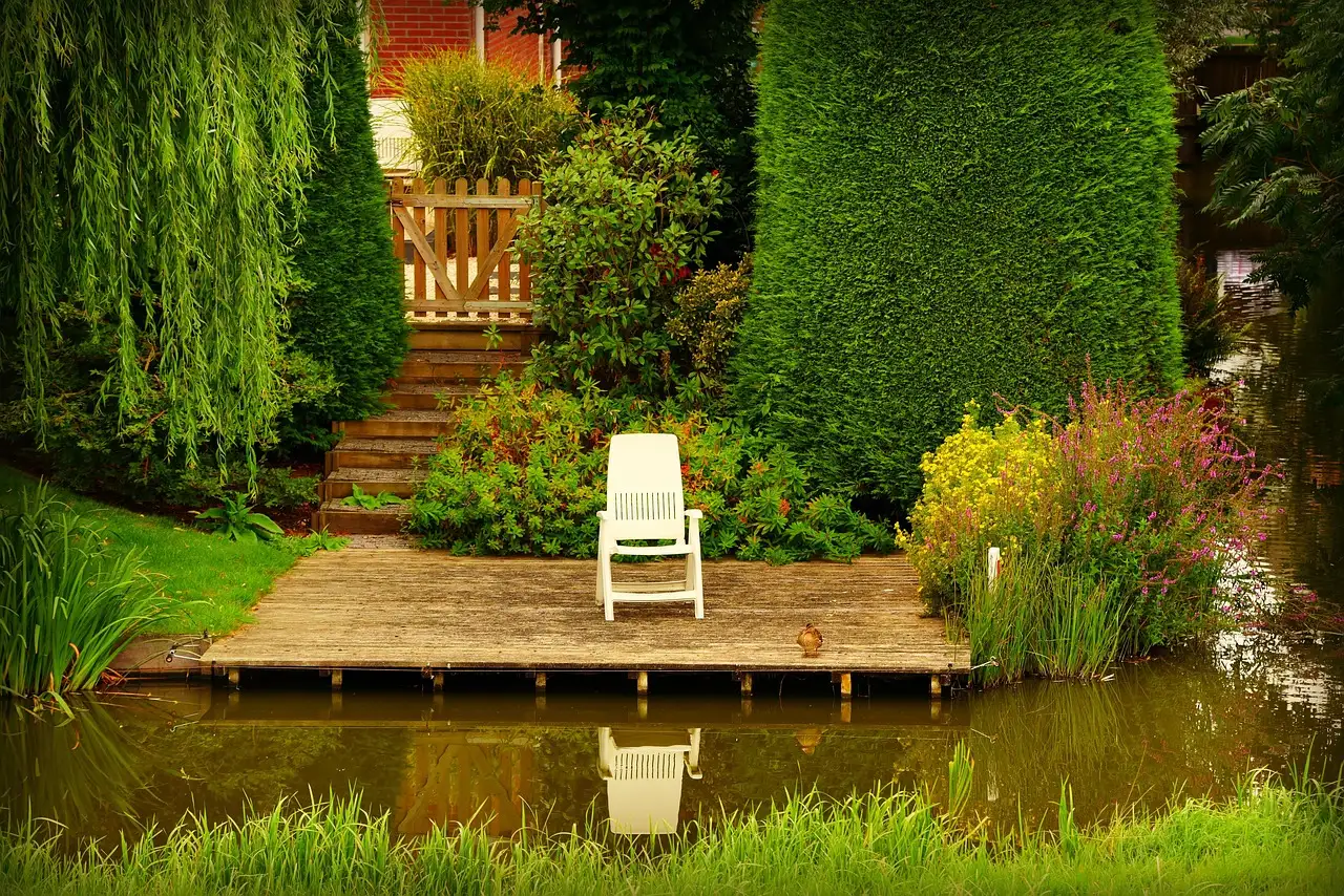 Placing Your Patio Tree for Maximum Impact (Image Credits: Pixabay)
