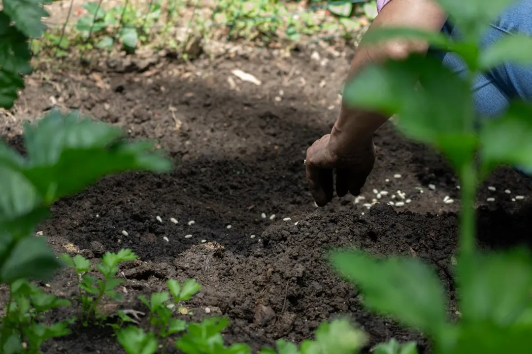 Preparing Your Garden Bed Before Laying Newspaper (Image Credits: Unsplash)