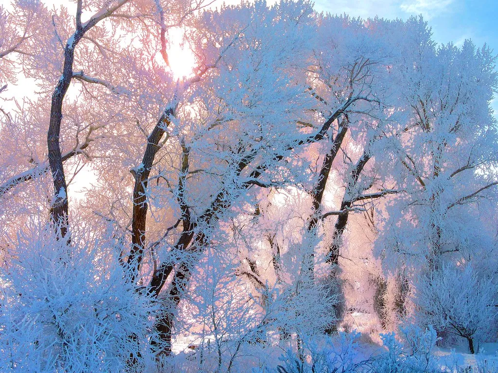 Cold Air and Valleys: Knowing the Shape of Your Land (Image Credits: Flickr)