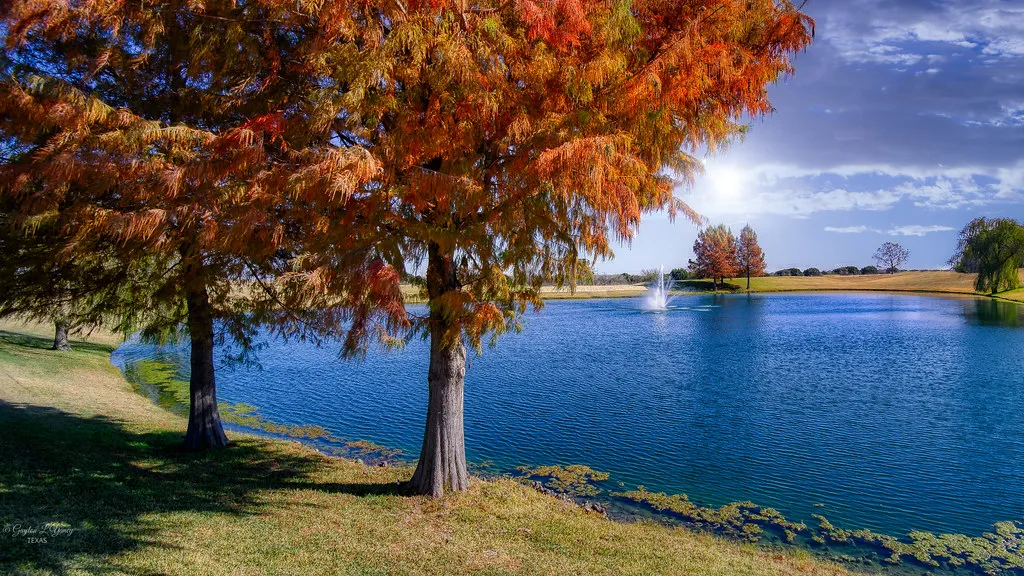 Trees Get a Months-Long Head Start Before Summer (GLYancy, Flickr, CC BY 2.0)