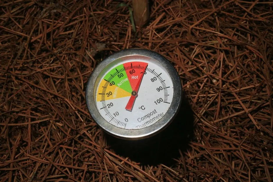 Soil Temperature Is the Real Clock (Image Credits: Pexels)