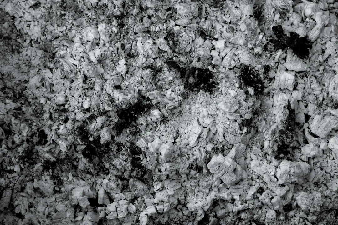 The Right Way to Store and Dispose of Ash (Image Credits: Unsplash)