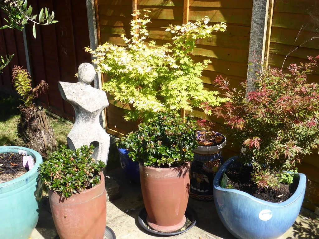 A Realistic Takeaway for Patio Gardeners (Andrea Boano, Flickr, CC BY 2.0)