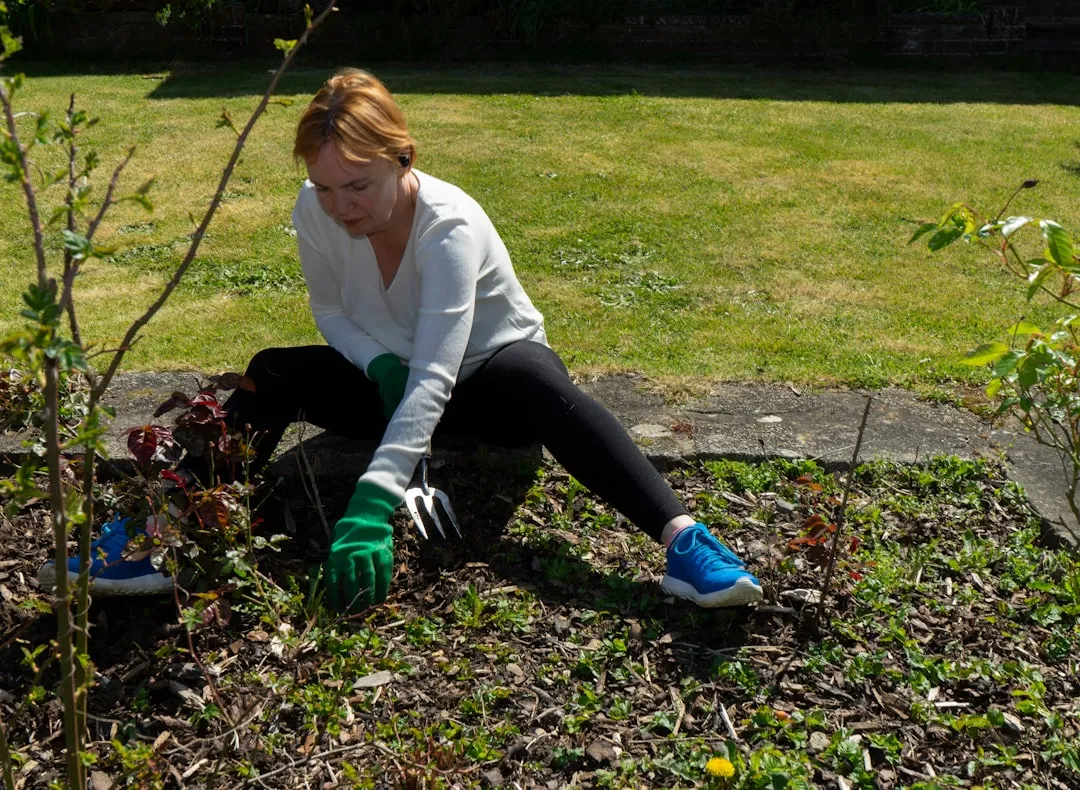 Weeding Too Late in the Season (Image Credits: Unsplash)