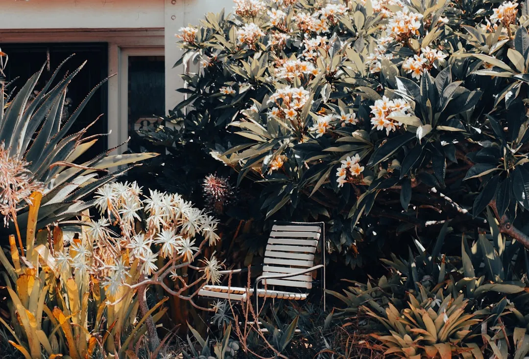 Final Thoughts (Image Credits: Unsplash)