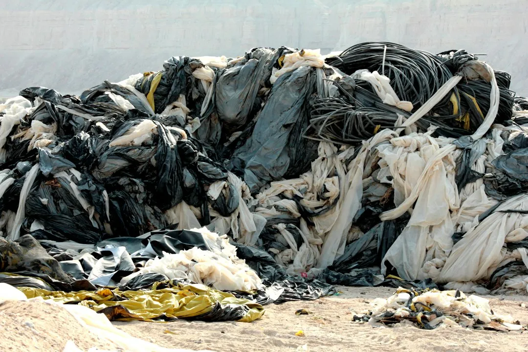 Clothing: From Darning Needles to Landfill Piles (Image Credits: Unsplash)