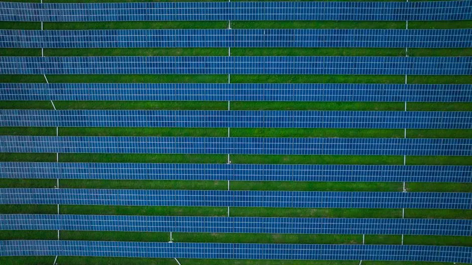 Florida: The Solar Surge State (Image Credits: Pexels)