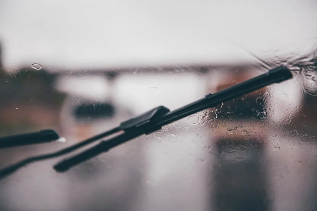 Choosing the Wrong Blade Type for Your Climate (Image Credits: Unsplash)