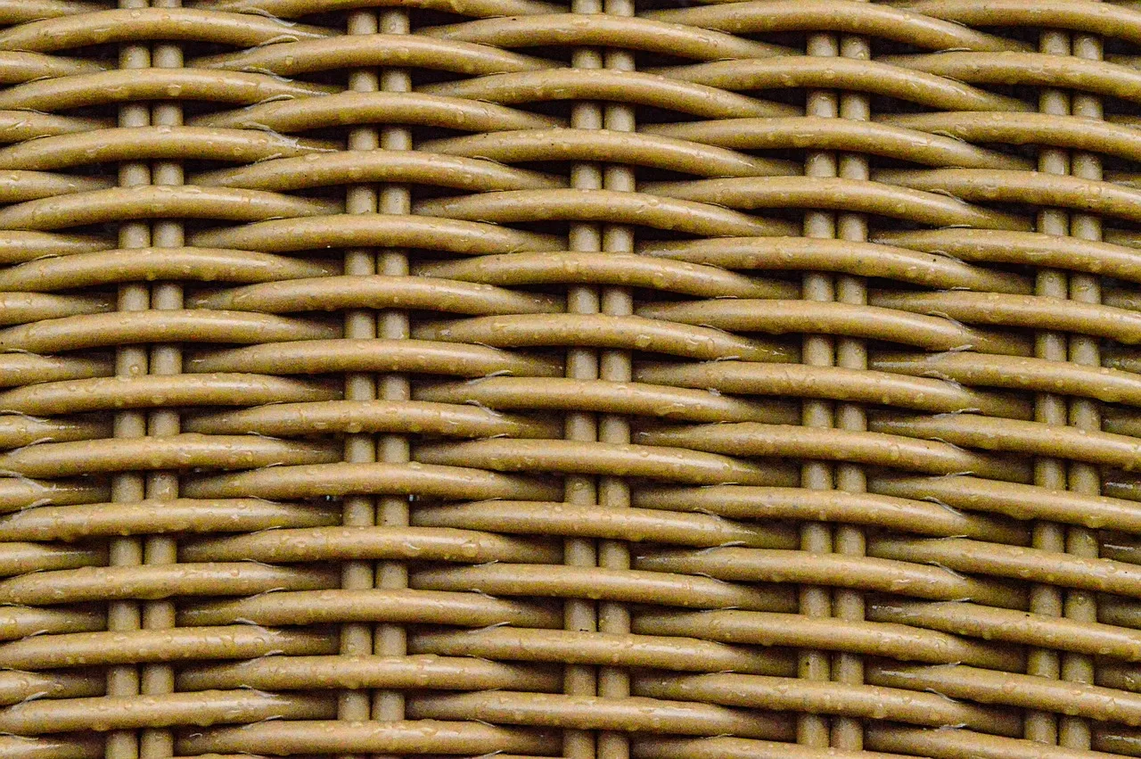 6. Rattan and Wicker Outdoor Furniture (Image Credits: Pixabay)