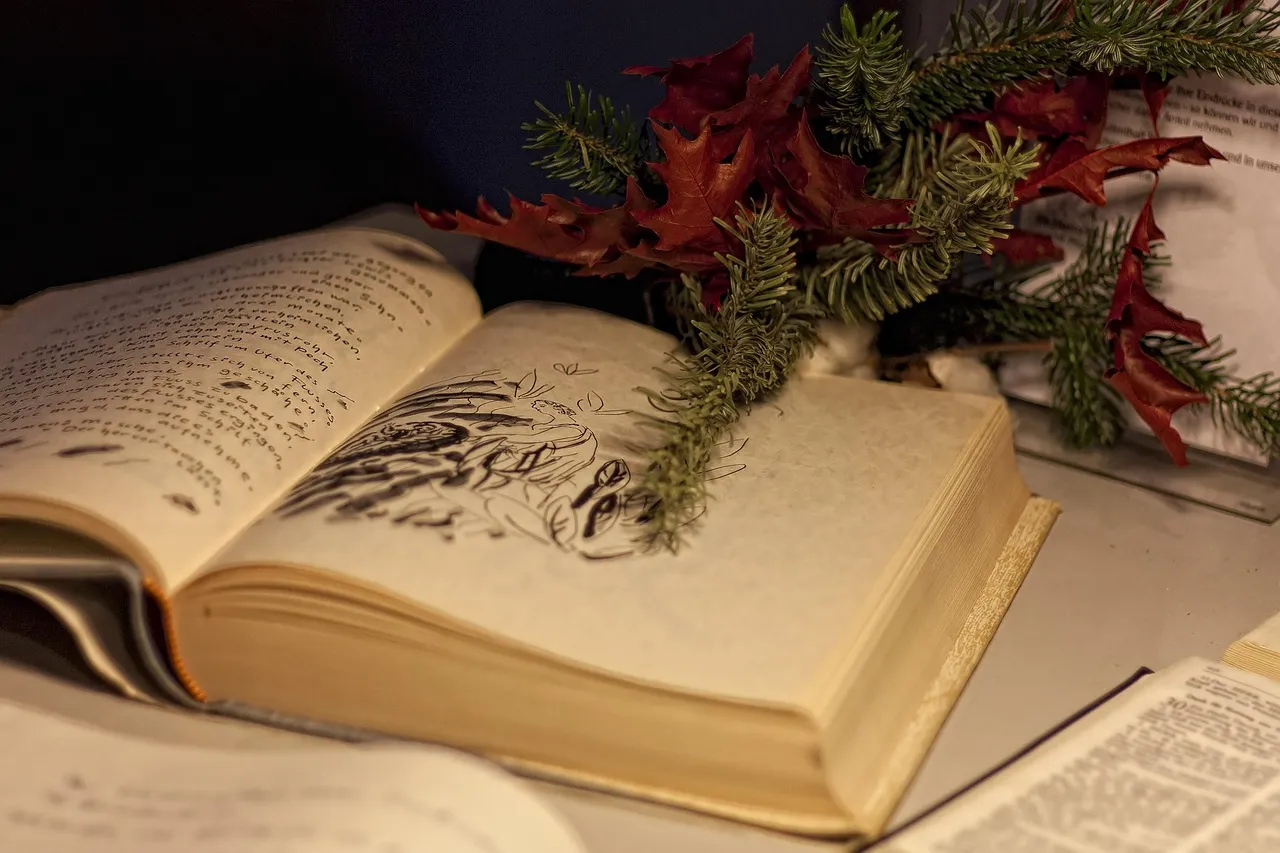 What Gets Lost Without One (Image Credits: Pixabay)