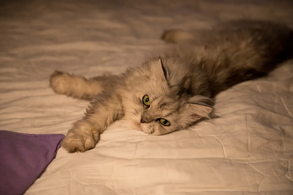 Changing Routines Without Warning (akk_rus, Flickr, CC BY 2.0)