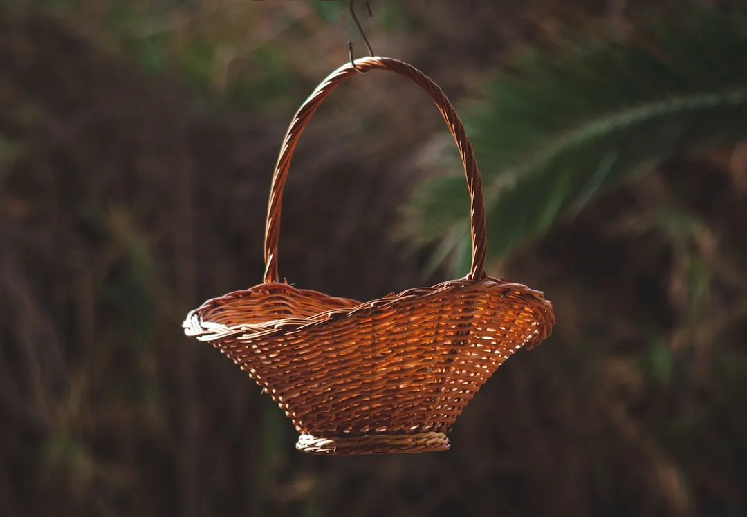 The Sustainability Argument Is Genuinely Strong (Image Credits: Unsplash)