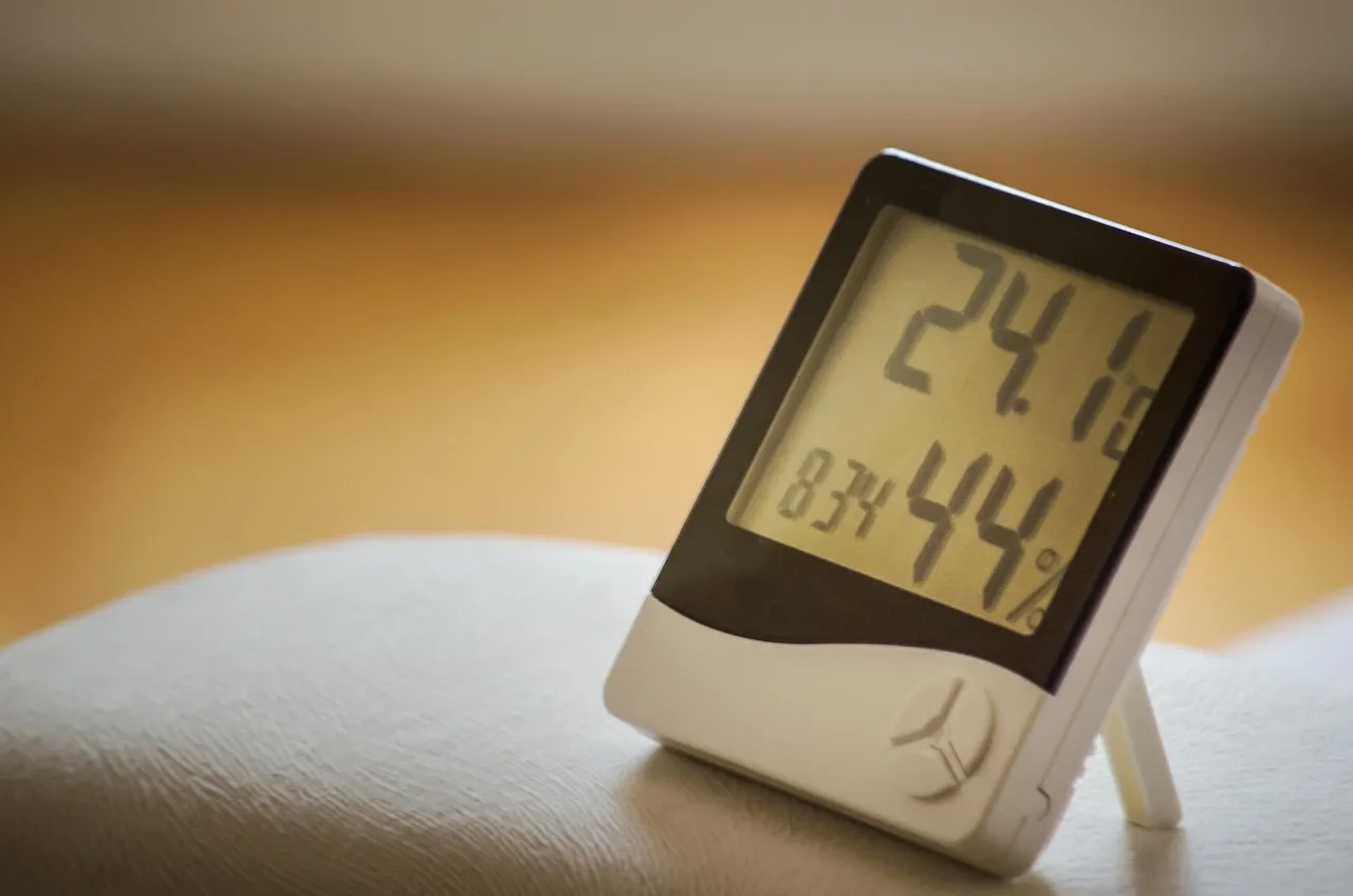 The Role of Indoor Humidity (Image Credits: Pixabay)